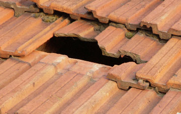 roof repair Drointon, Staffordshire